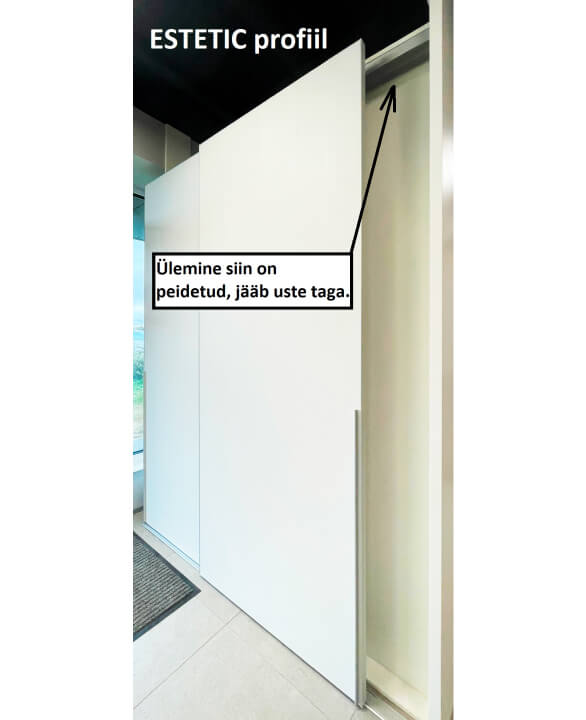 1 4 liuguksed Estetic