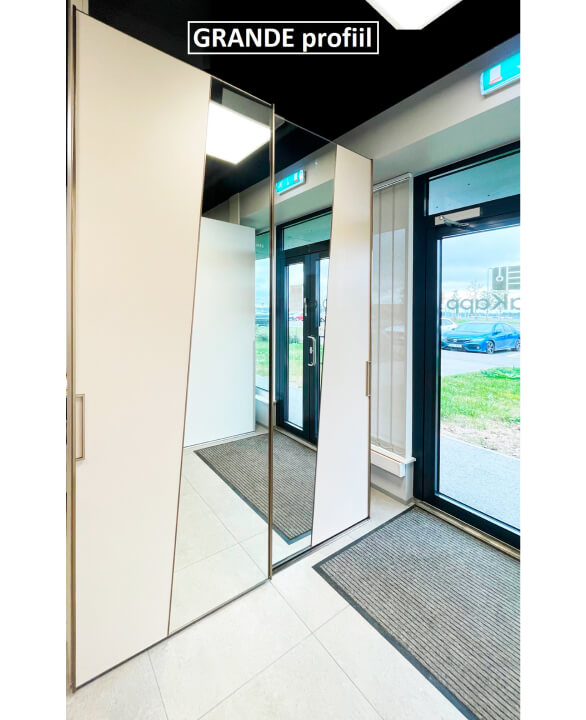 2 2 liguksed peegliga